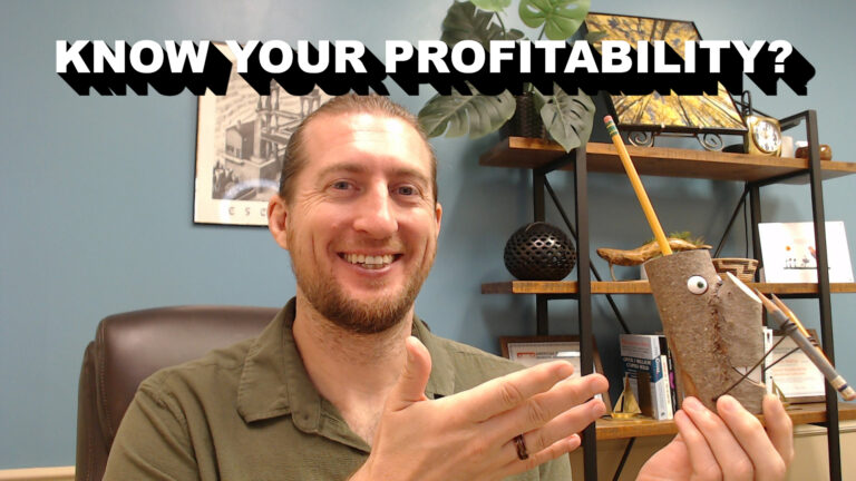 The CFO Analyzes The Profitability Of A Business